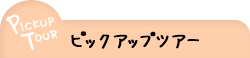 ピックアップツアー